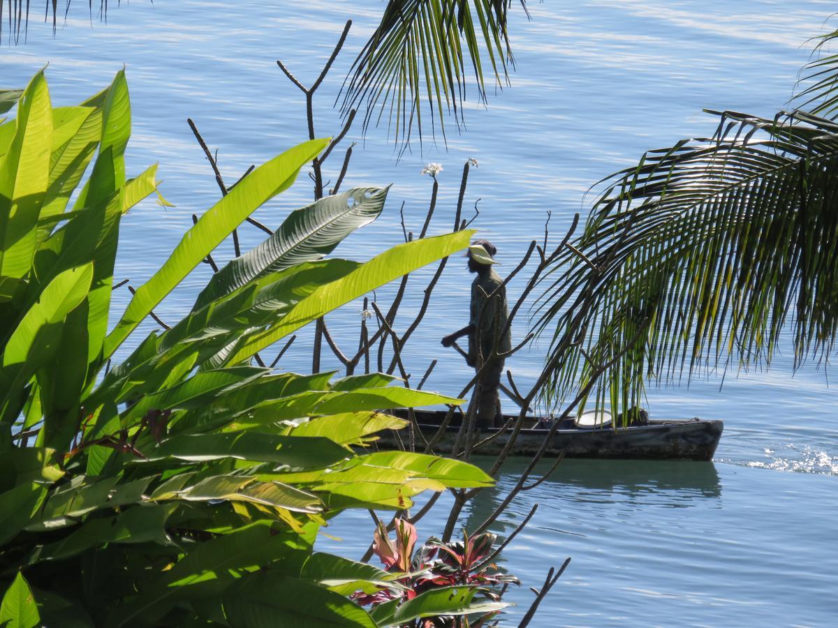 Coral House Bed & Breakfast Punta Gorda Ngoại thất bức ảnh