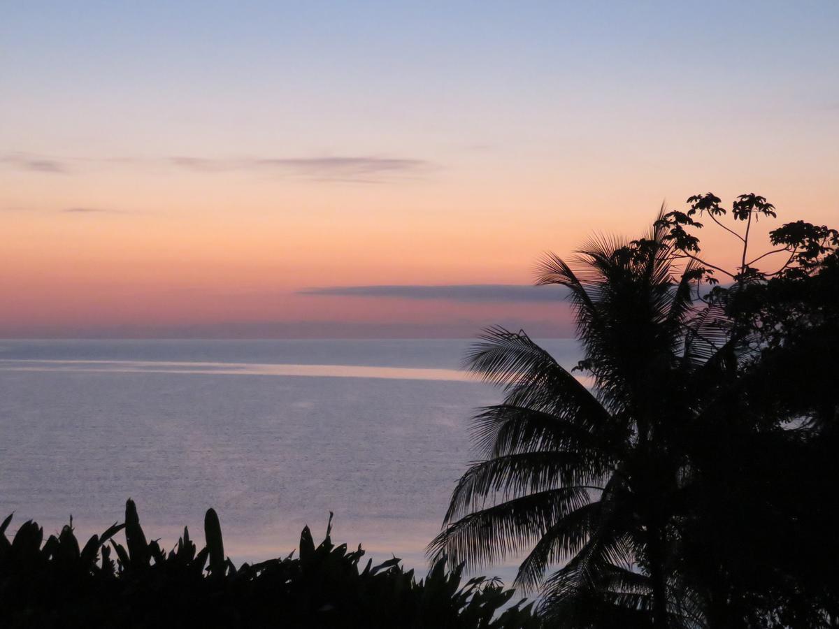 Coral House Bed & Breakfast Punta Gorda Ngoại thất bức ảnh
