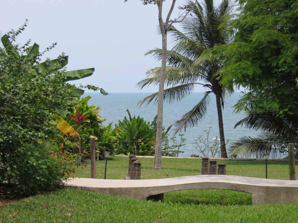 Coral House Bed & Breakfast Punta Gorda Ngoại thất bức ảnh